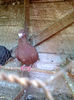 foto0002