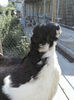 CAM00160