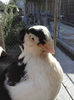 CAM00161