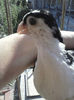 CAM00164