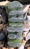 Haworthia_truncata