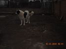 DSCN0289 - Copie