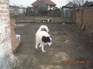 DSCN0294 - Copie