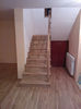 WP_002053