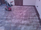 WP_000359 (2)