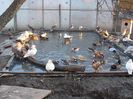 poze 2014 049