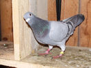 DSCF7841