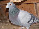 DSCF7846