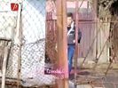 NjAwOTA3NTUz_o_iubiri-secrete-sezonul-3-ep1
