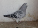 DSC00125