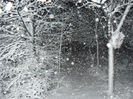 decembrie 2007