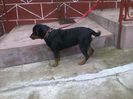 HERRA