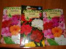 impatiens - garoafe- impatiens