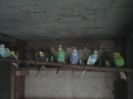 IMG00145