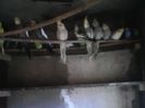 IMG00153