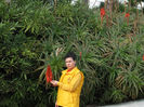 SEFA CULEGE ALOE