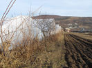 SAM_0155