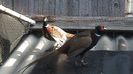 DSC03472