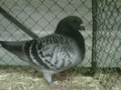 IMG-20140112-00044
