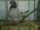 IMG-20140112-00046