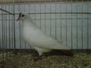 IMG-20140112-00049
