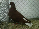 IMG-20140112-00050