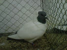 IMG-20140112-00051