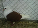 IMG-20140112-00054