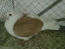 IMG-20140112-00055
