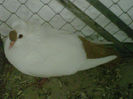 IMG-20140112-00057