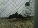 IMG-20140112-00059