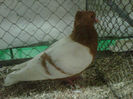 IMG-20140112-00060
