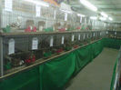 IMG-20140112-00062