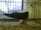 IMG-20140112-00065