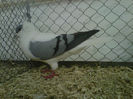 IMG-20140112-00066
