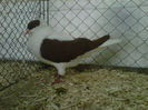 IMG-20140112-00067