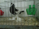 IMG-20140112-00068