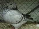 IMG-20140112-00072