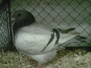 IMG-20140112-00073