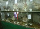 IMG-20140112-00074