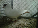 IMG-20140112-00076