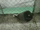 IMG-20140112-00078