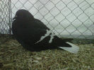 IMG-20140112-00079