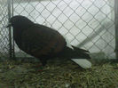 IMG-20140112-00080