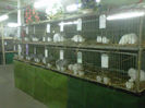 IMG-20140112-00081