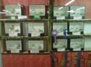 IMG-20140112-00083