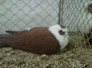 IMG-20140112-00085