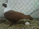 IMG-20140112-00086