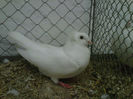 IMG-20140112-00087