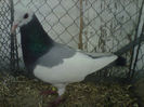 IMG-20140112-00090